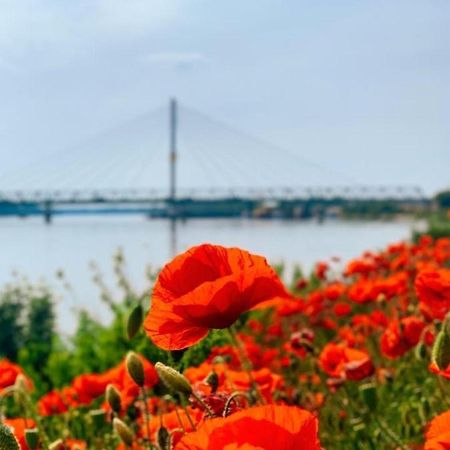 Amira Apartman Komárno Dış mekan fotoğraf