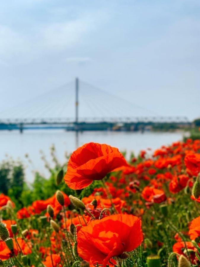 Amira Apartman Komárno Dış mekan fotoğraf